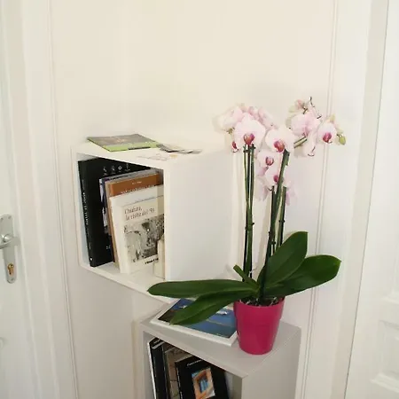 Le Logge * Шикли